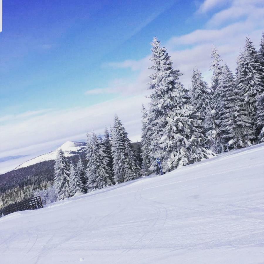 Apartmani Nicole Kopaonik Exterior foto